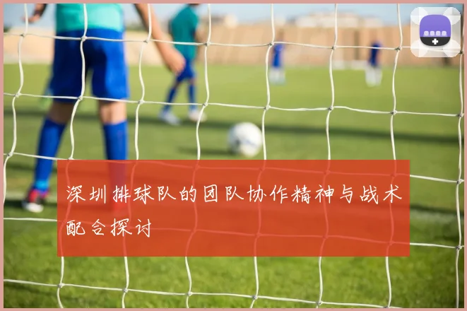 深圳排球队的团队协作精神与战术配合探讨